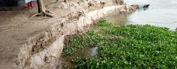 মহানন্দায় ভাঙ্গন